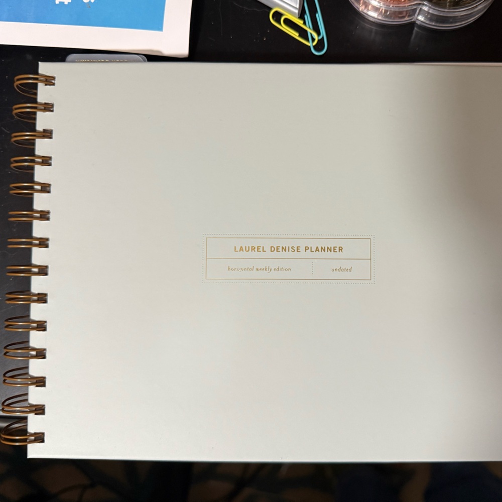 Laurel Denise Planner Small Nancy in Sage Advice UNDATED